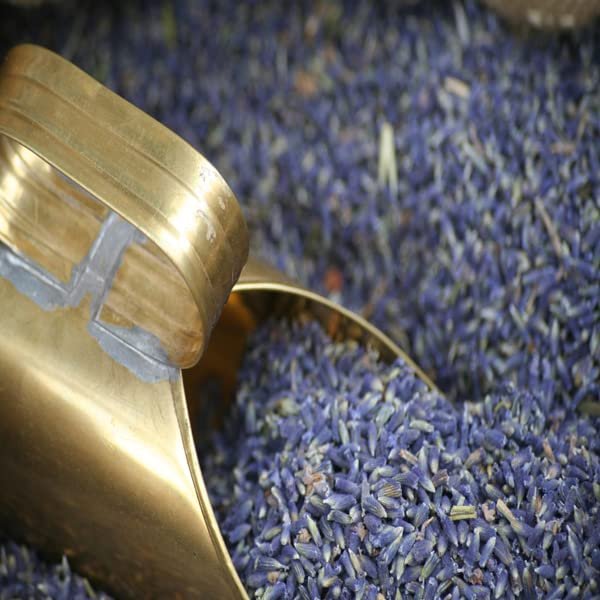 Lavender Liquid Marseille Soap