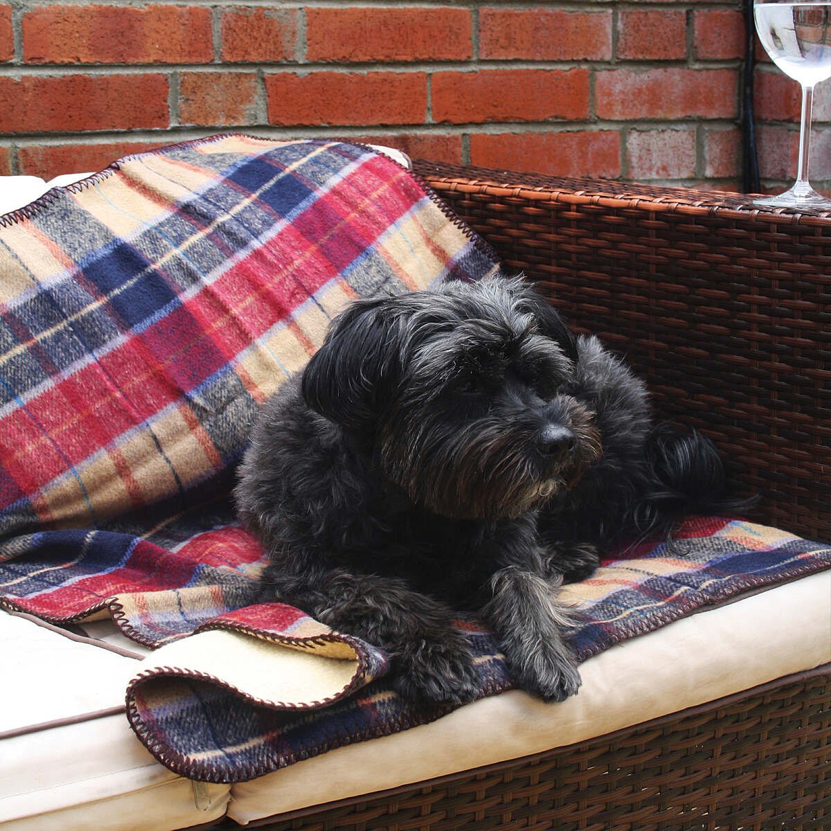 Samuel Lamont Celtic Weavers Tweed Throw Blanket | Irish Tweed Red