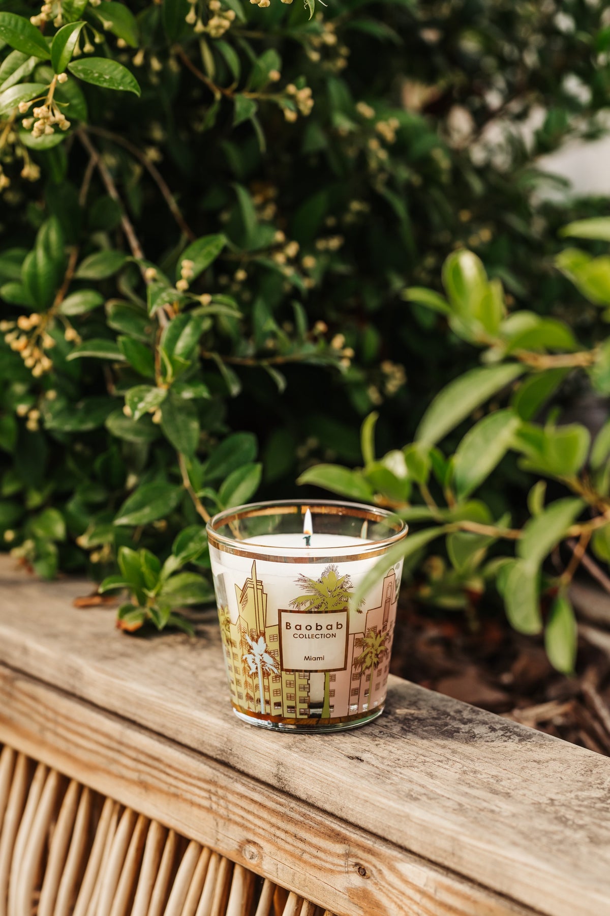 MIAMI My First Baobab Luxury Gift Box Scented Candle & Diffuser | Solar & Aquatic Scent