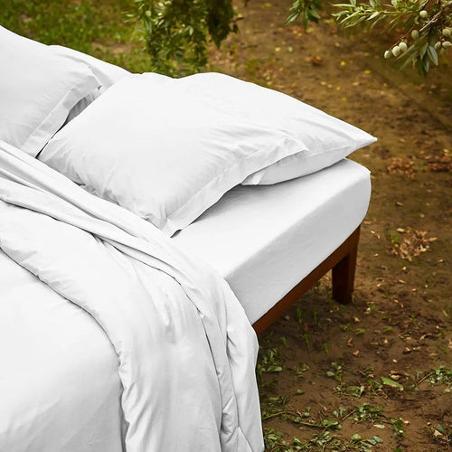 Garnier Thiebaut Bombacio Sunrise Standard Queen Pillow Shams | White Sateen | Set of 2
