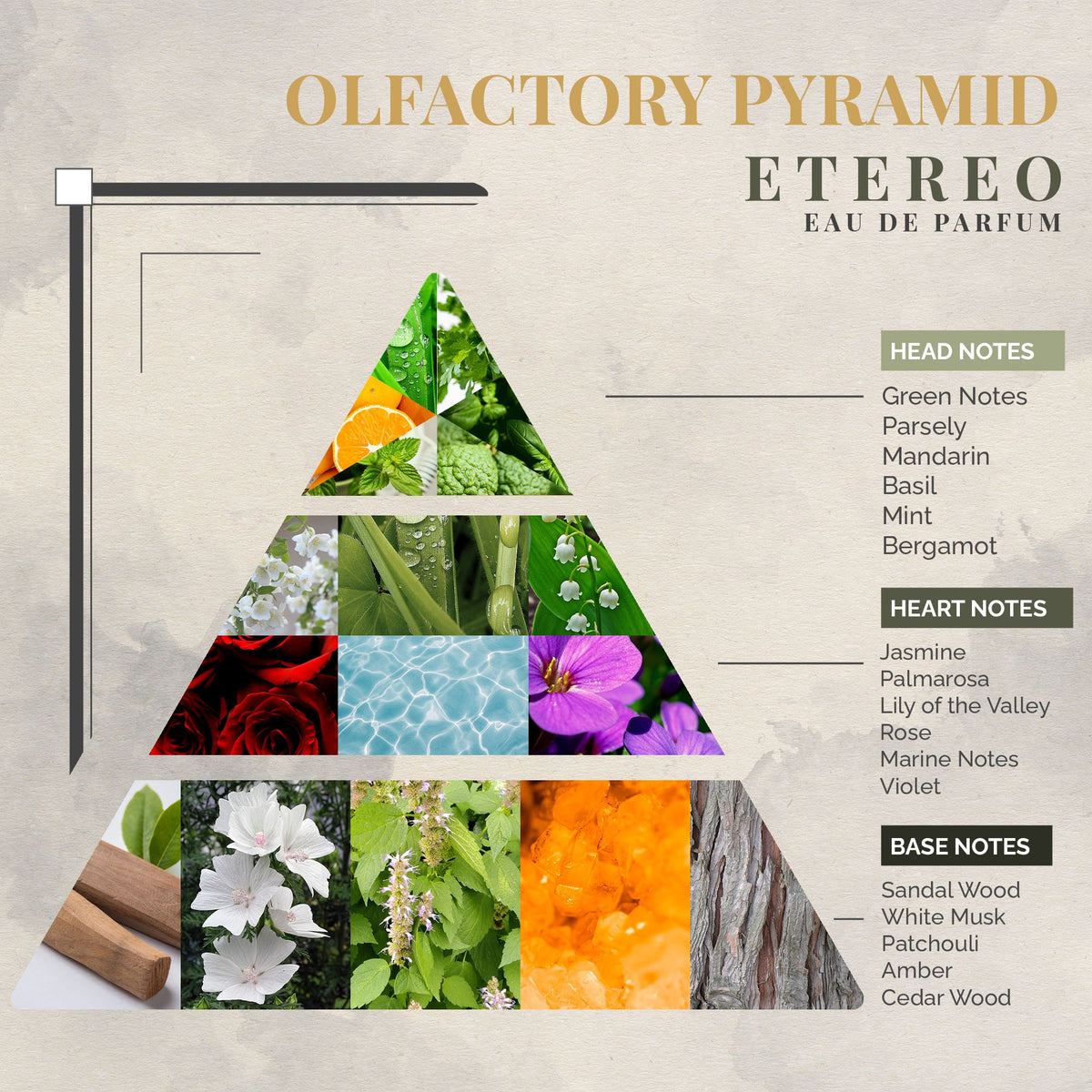 Etereo Eau de Parfum | Green & Aromatic | Unisex Fragrance