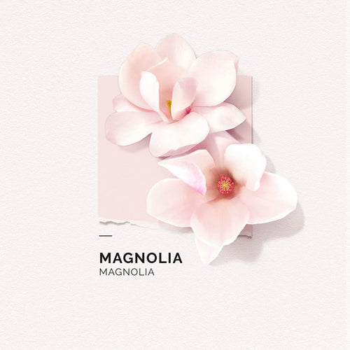 Magnolia Eau de Parfum | 15 ml