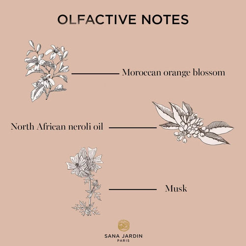 Sana Jardin Berber Blonde Eau de Parfum | Orange Blossom, Neroli Oil and Musk