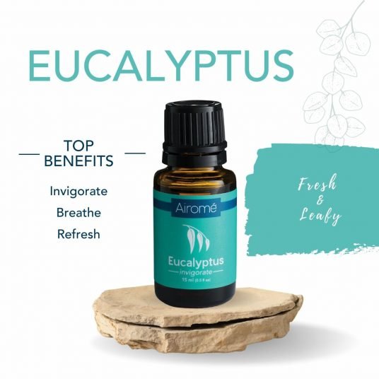 Airomé Essential Oil Basic Set, Six (10 ml each) Therapeutic-Grade Essential Oils | Eucalyptus, Lavender, Lemongrass, Orange, Peppermint, Tea Tree