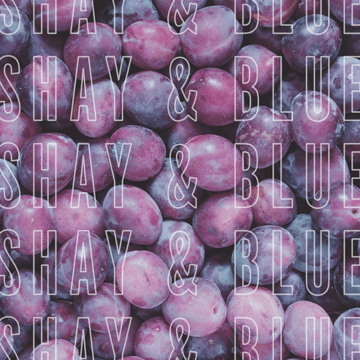 Black Tulip Fragrance | 30ml