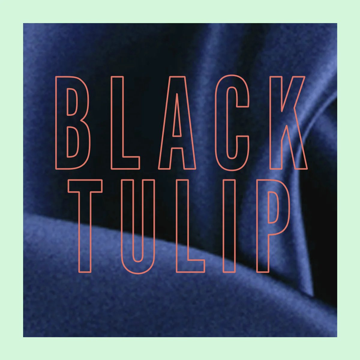 Black Tulip Fragrance | 30ml