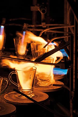 La Rochere Bee Wine Glasses | Set of 6 (12oz)