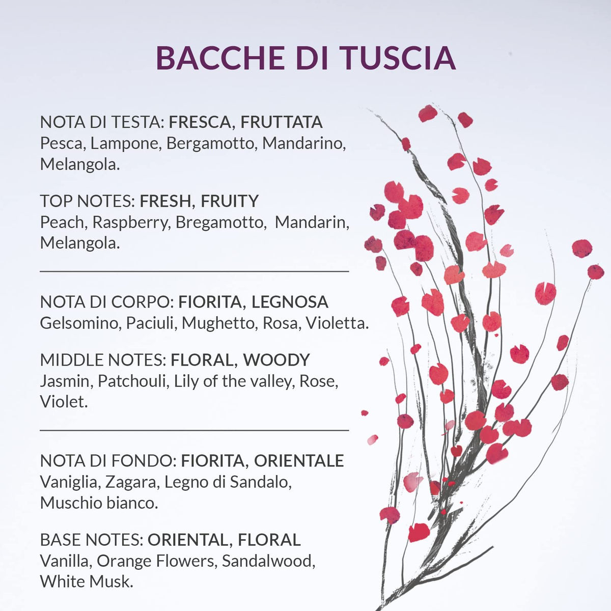 Erbario Toscano Bacche di Tuscia Shower Gel | Revitalizing & Scented Body Wash