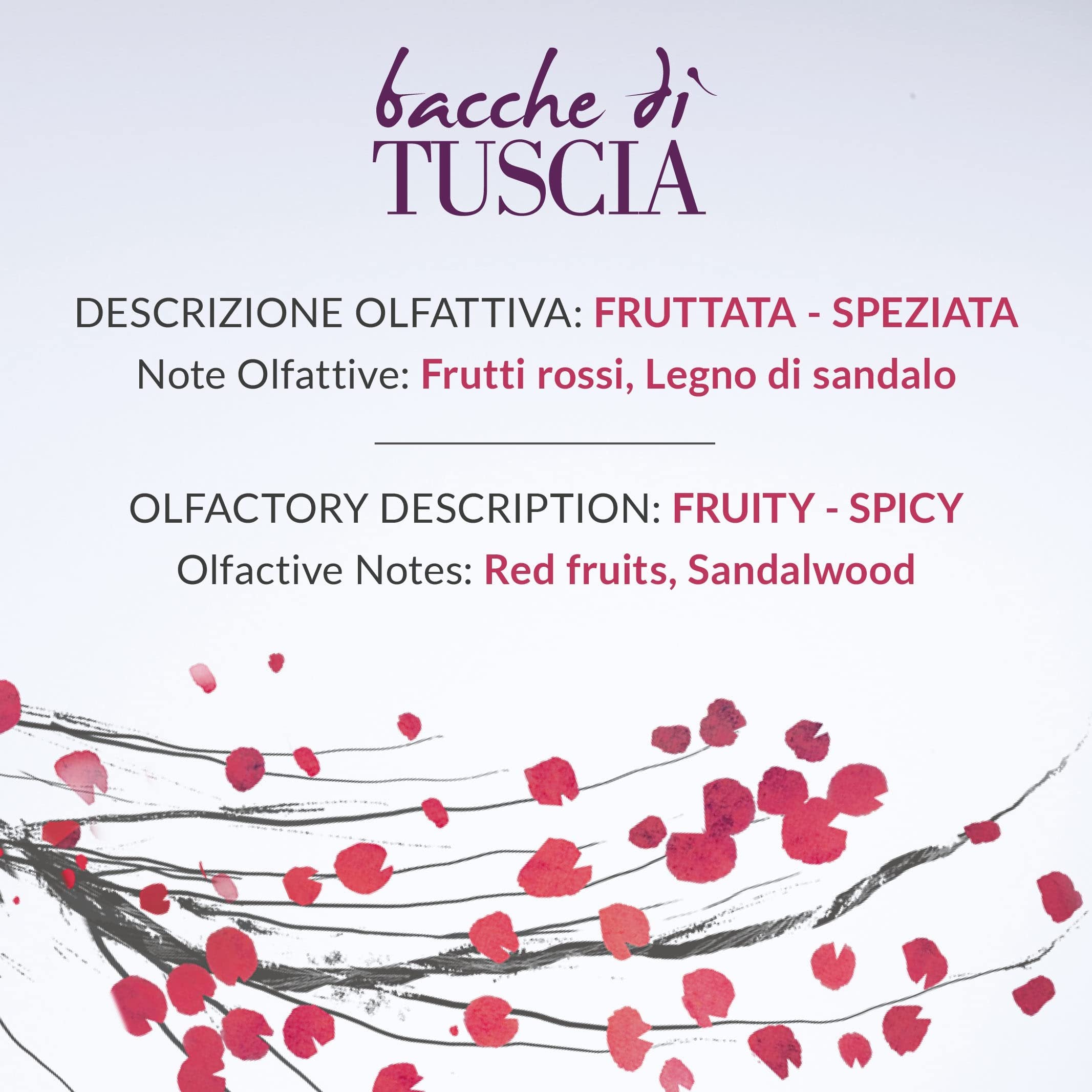 Erbario Toscano Tuscia Berries Reed Diffuser Gift – Sophisticated Aromatic Decor