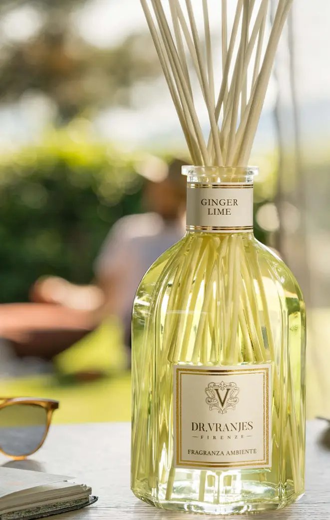 Dr. Vranjes Ginger Lime diffuser with bamboo reeds styled