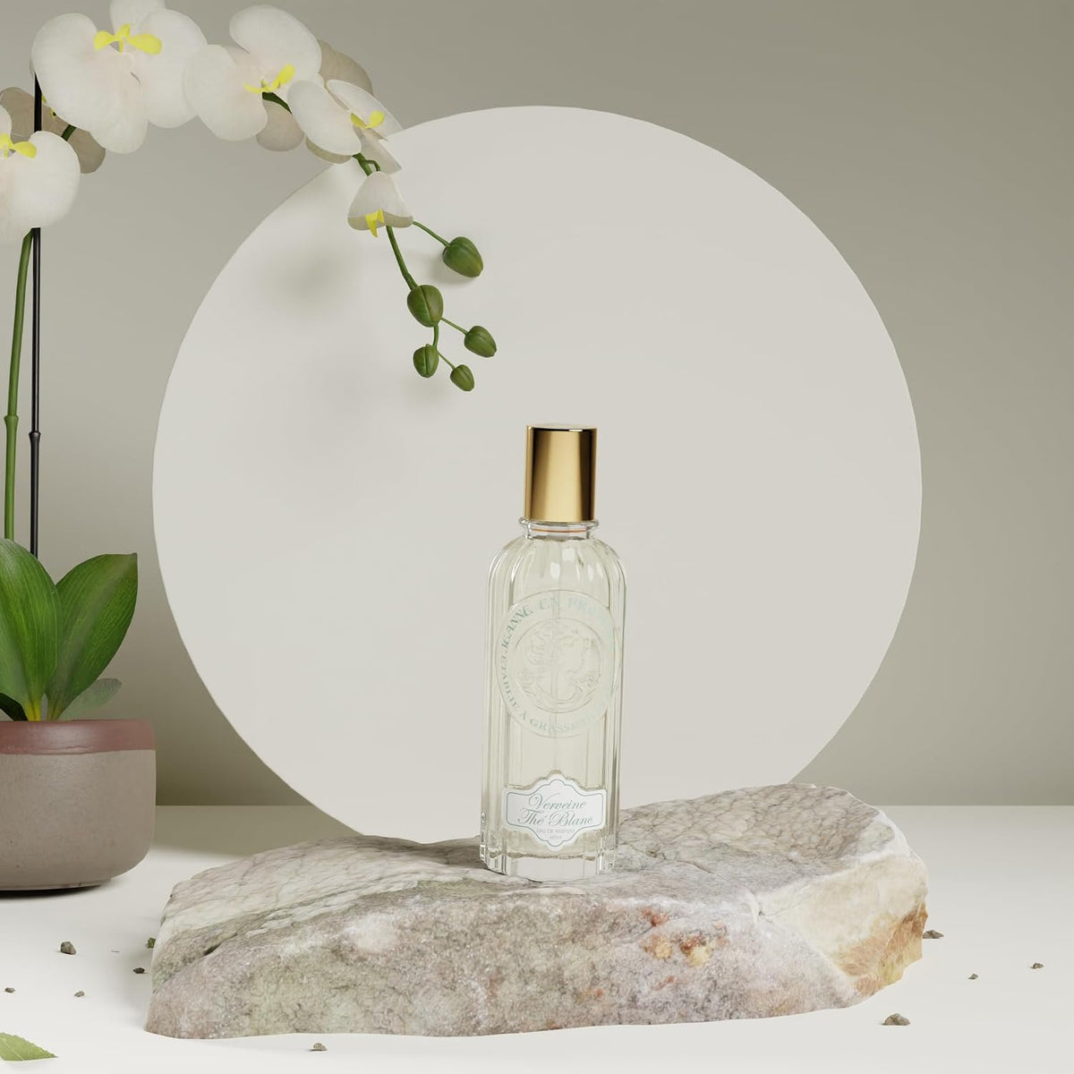 Jeanne En Provence Verbena White Tea Eau de Parfum 60ml - Fresh Citrus & Floral Fragrance
