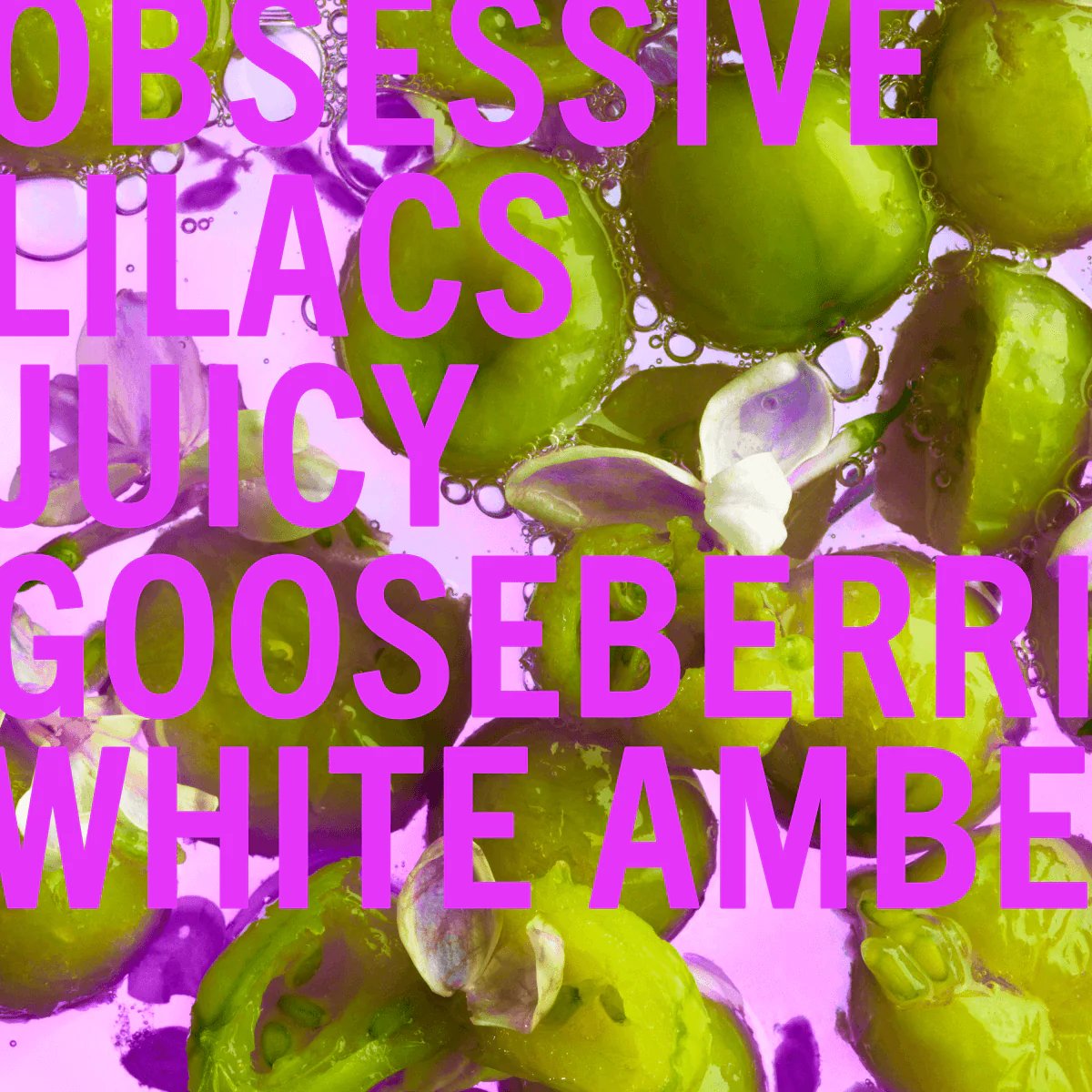 Shay & Blue Lilacs & Gooseberries Unisex Scent