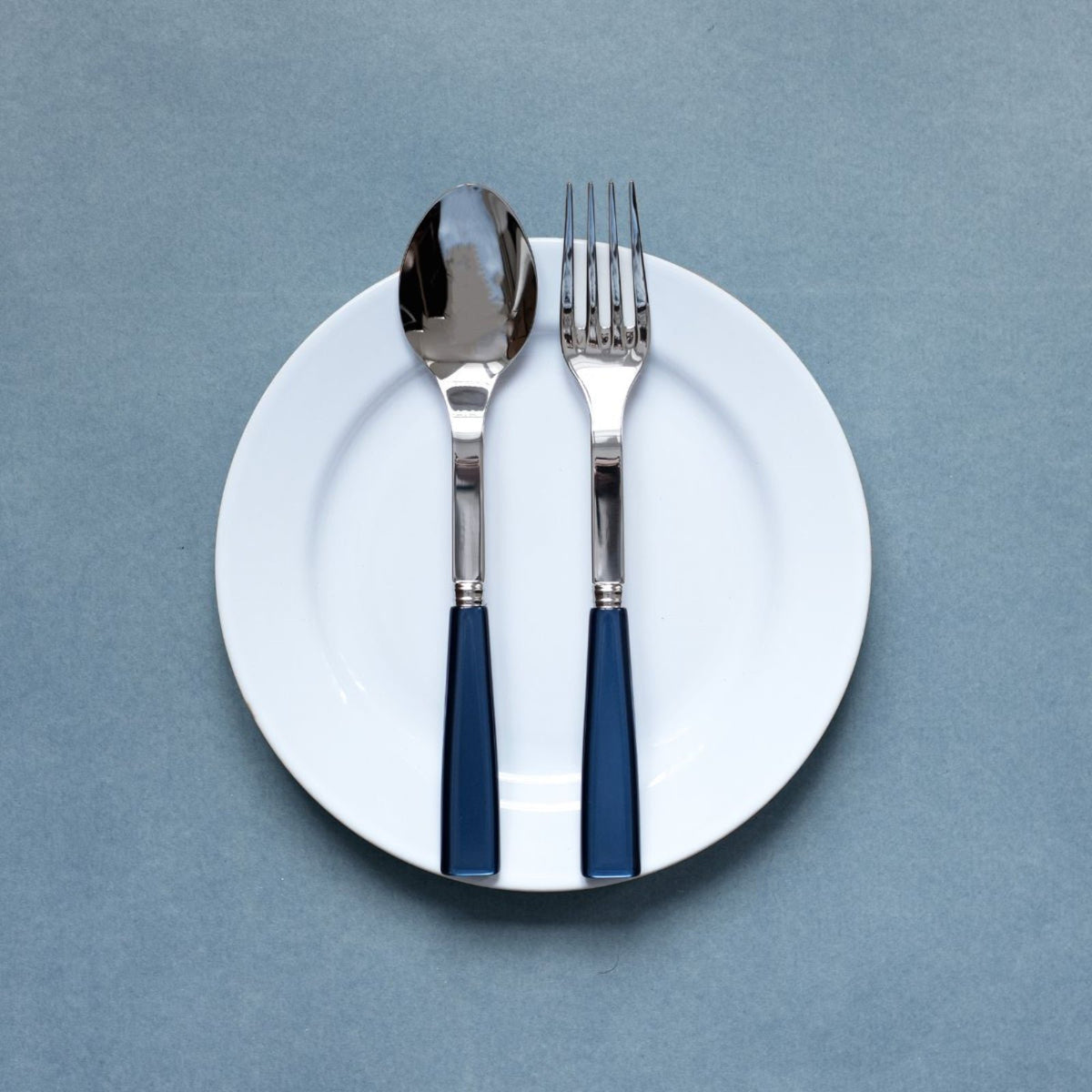 Sabre Paris - Icone Serving Set Midnight Blue (Steel Blue) 2-Pieces Acrylic Handle and Stainless Steel