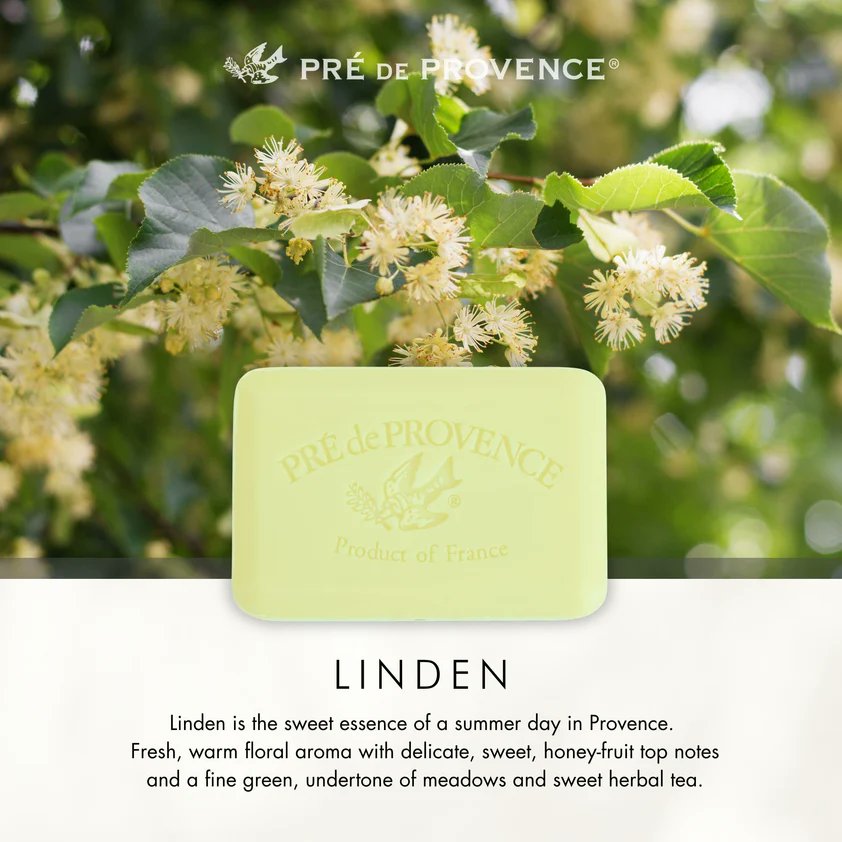 Pre de Provence Linden Soap Bar lathering in hand, rich creamy foam