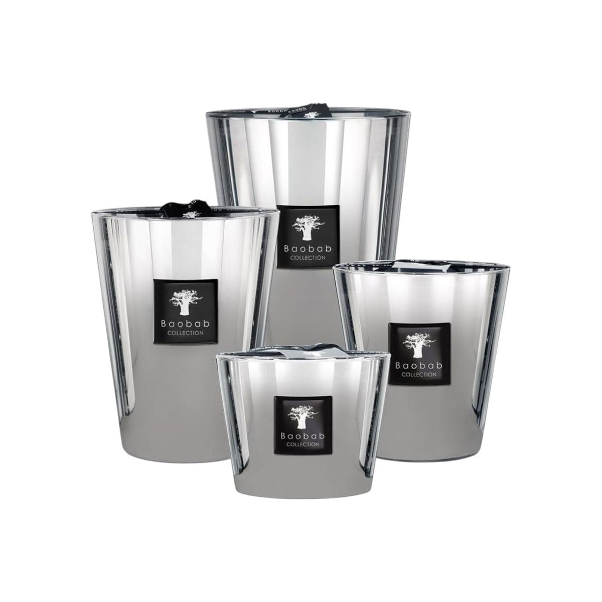 Baobab Platinum Candle Amber and Spices Fragrances 6.3-Inches Tall 4-Wicks