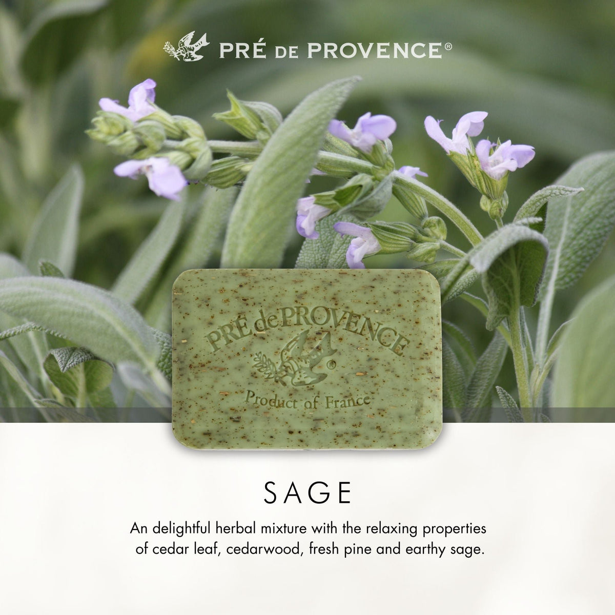 Pre de Provence Sage Soap Bar 250g Pack of 3 Quad-Milled Shea Butter