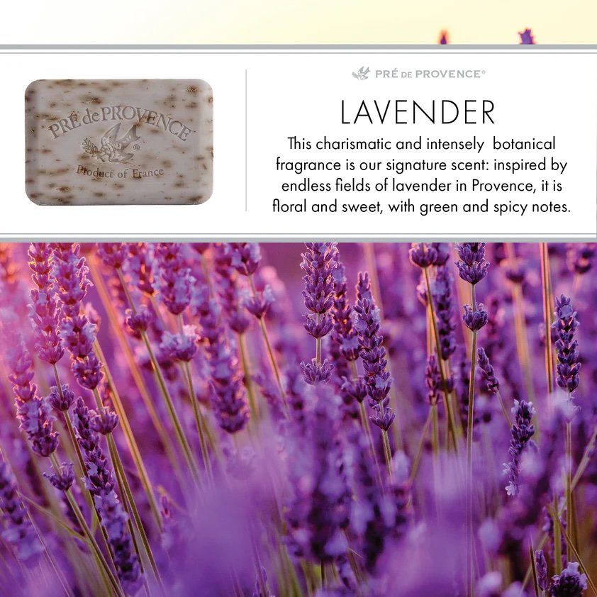 French Lavender Soap by Pré de Provence — Floral & Herbaceous Shea Butter Bar