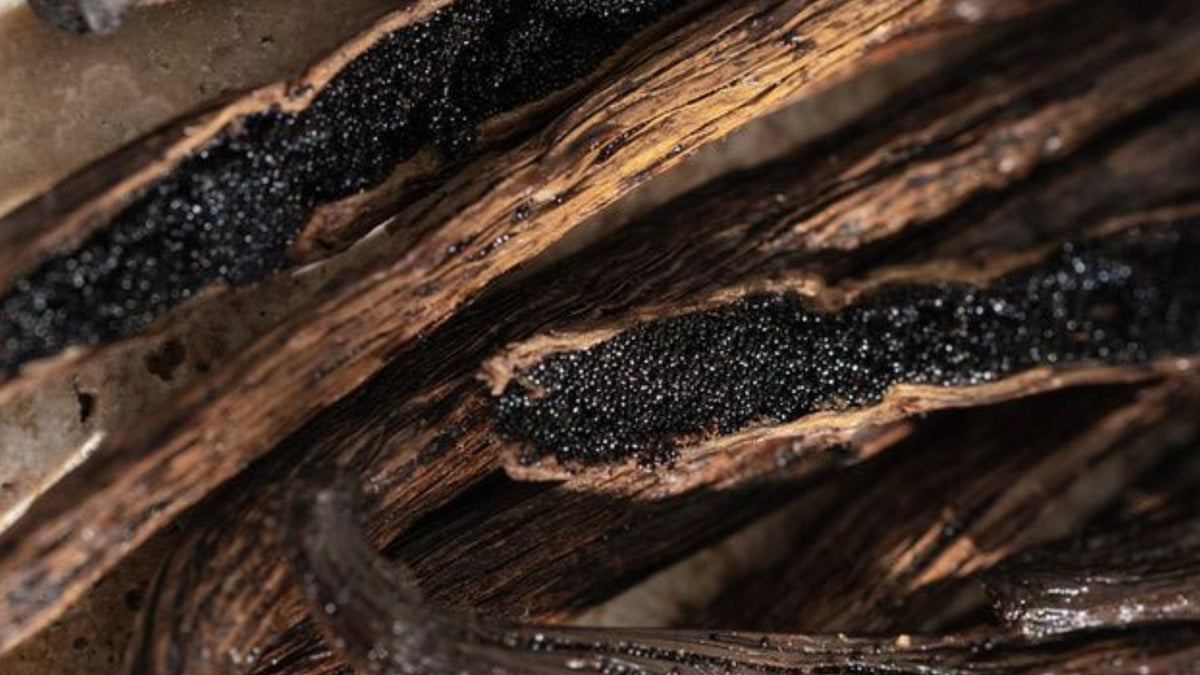 Jeroboam Insulo Extrait de Parfum 30ml Spray Unisex Fragrance Made in France