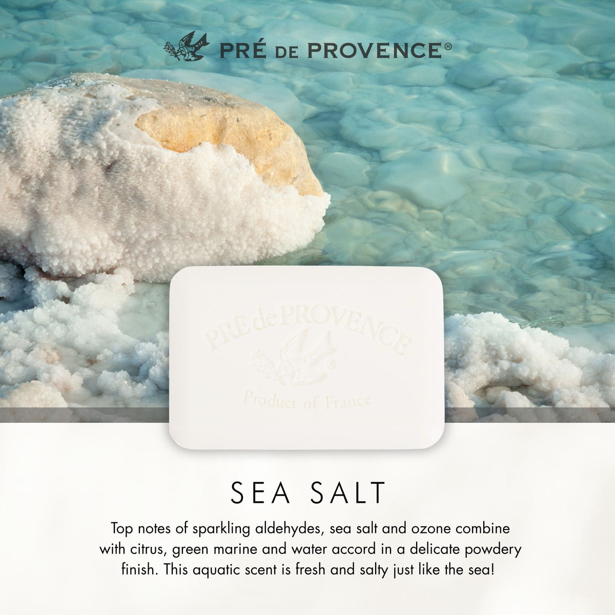 Pre de Provence Sea Salt Soap Bar pack options, 1, 3, and 6 count