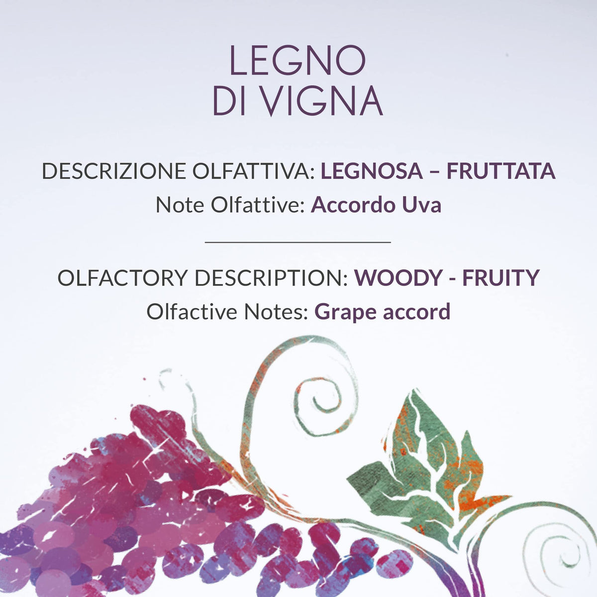 Legno Di Vigna (Vineyard Woods) Reed Diffuser Refill | 500ml