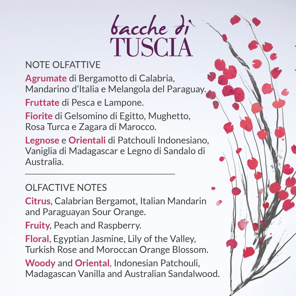 Erbario Toscano Bacche di Tuscia Nourishing Body Balm | 250ml