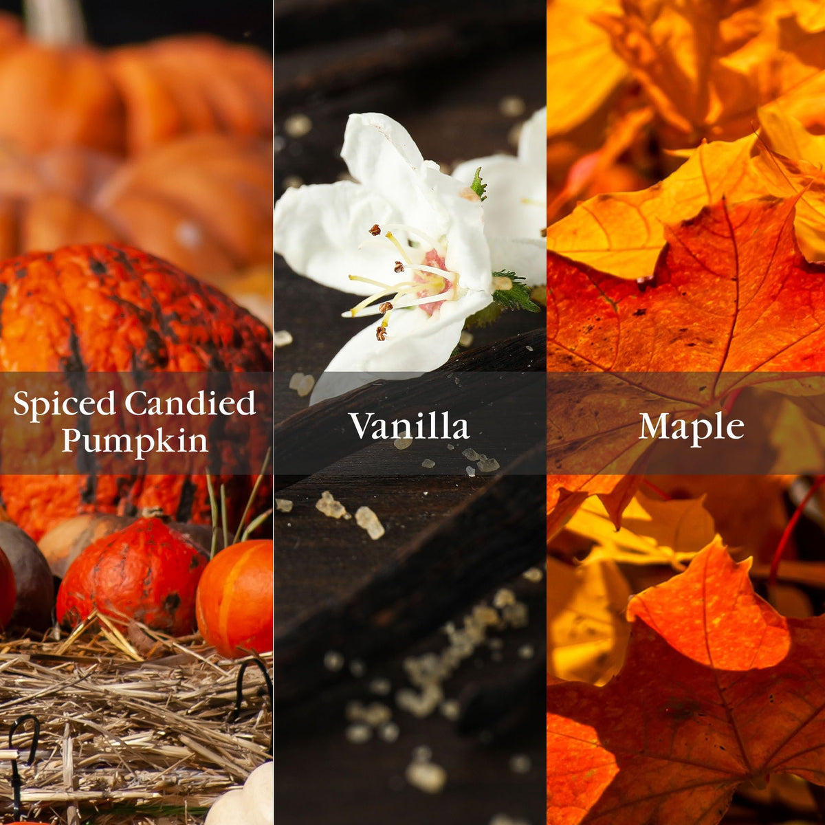 Aromatique Pumpkin Spice Textured Glass Candle with Lid – Fall Scented Candle with Spiced Pumpkin, Vanilla & Maple – Hand Poured, Long Burn – Cruelty-Free, USA Made – 6 oz