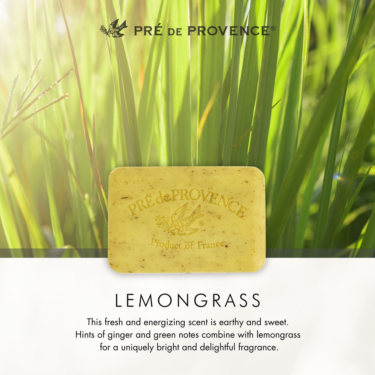 Pre de Provence Lemongrass Soap Bar pack options, 1, 3, and 6 count