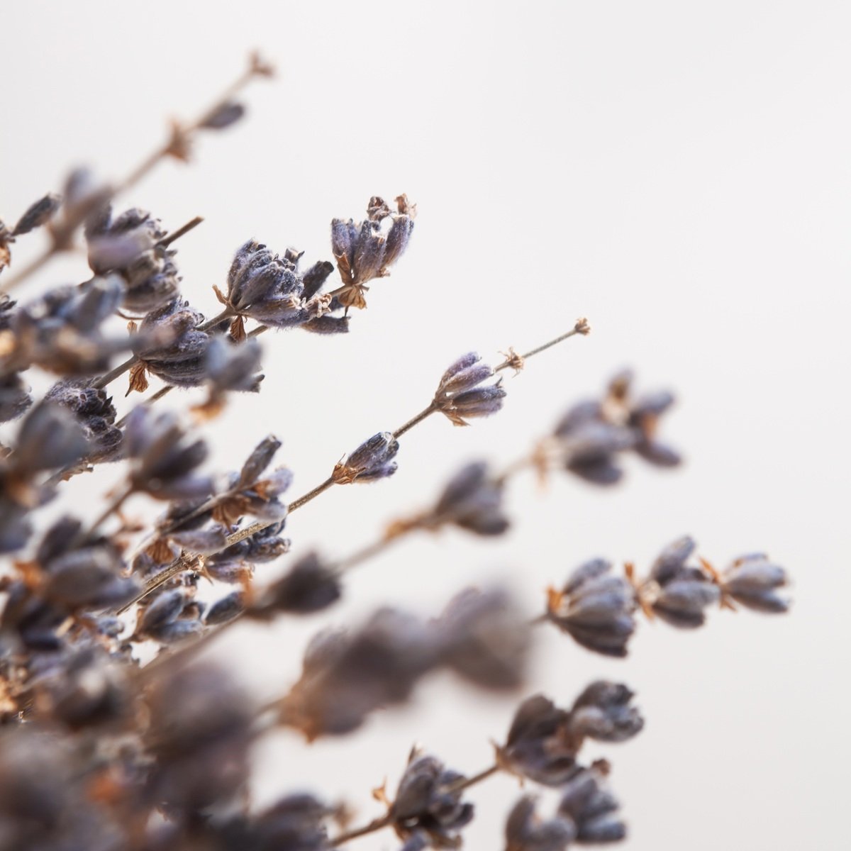 Castelbel Lavender Perfumed Paper for Drawers & Closets