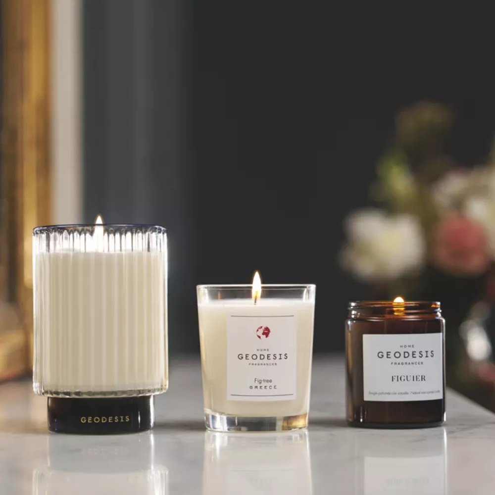 Geodesis Fig Tree home fragrance candle – fig leaf, sap, and fruit scent