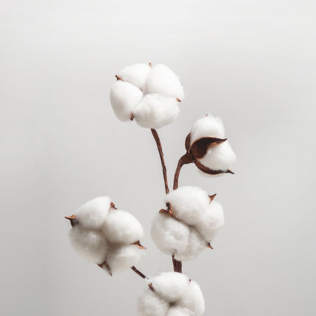 Castelbel Cotton Flower Candle 210g Floral Fragrance