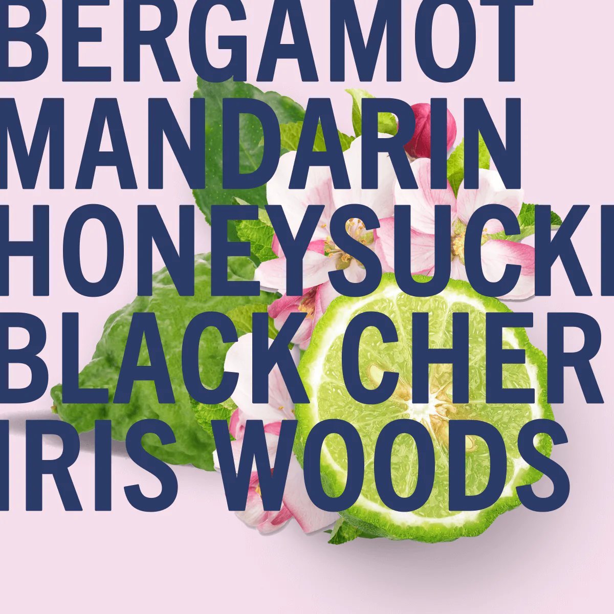 Shay & Blue English Cherry Blossom Scent