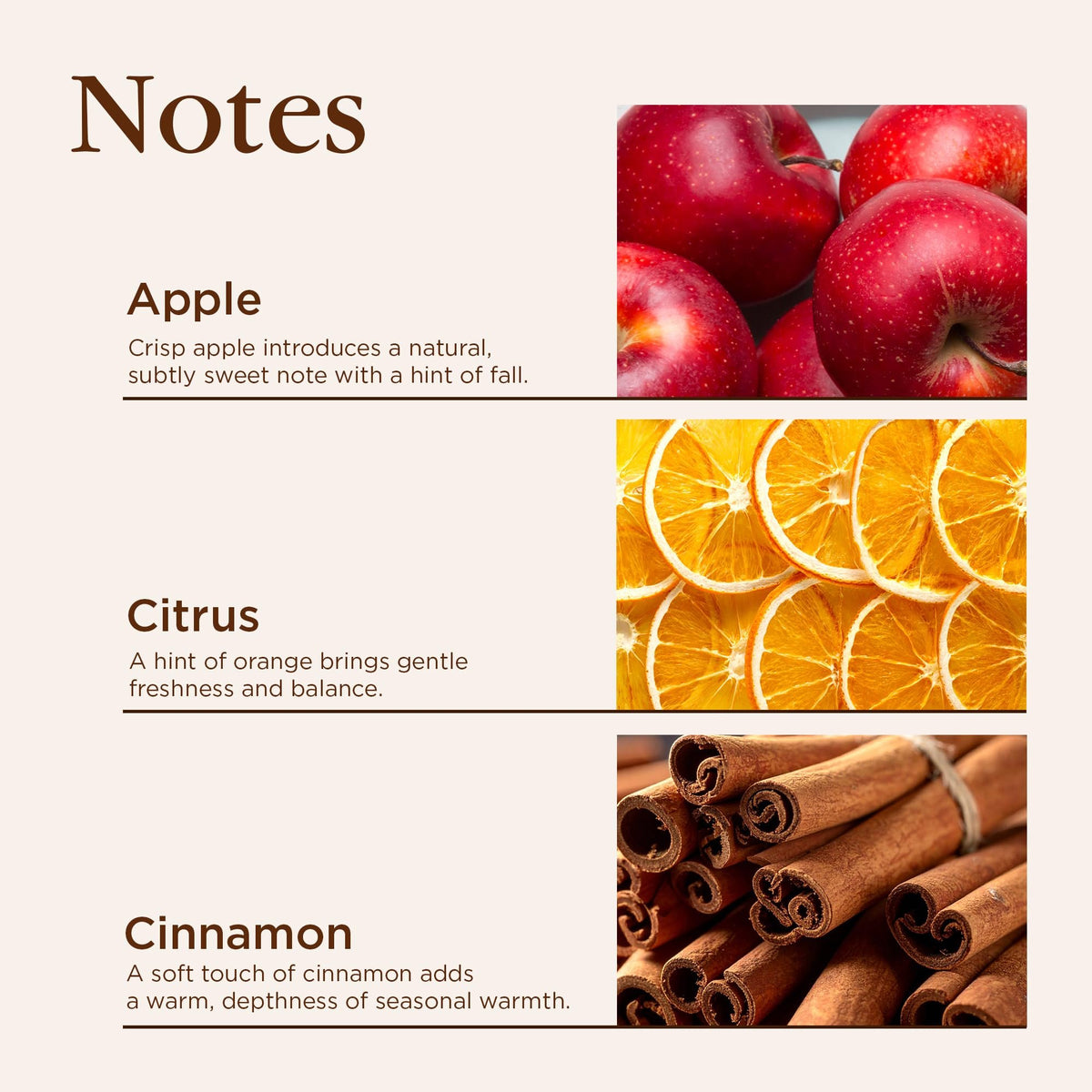 Aromatique Cinnamon Cider Foaming Hand Soap – 12 oz Gentle Cleanser with Warm Cinnamon, Apple & Citrus Scent – Moisturizing Fall Soap – Paraben-Free, Made in the USA