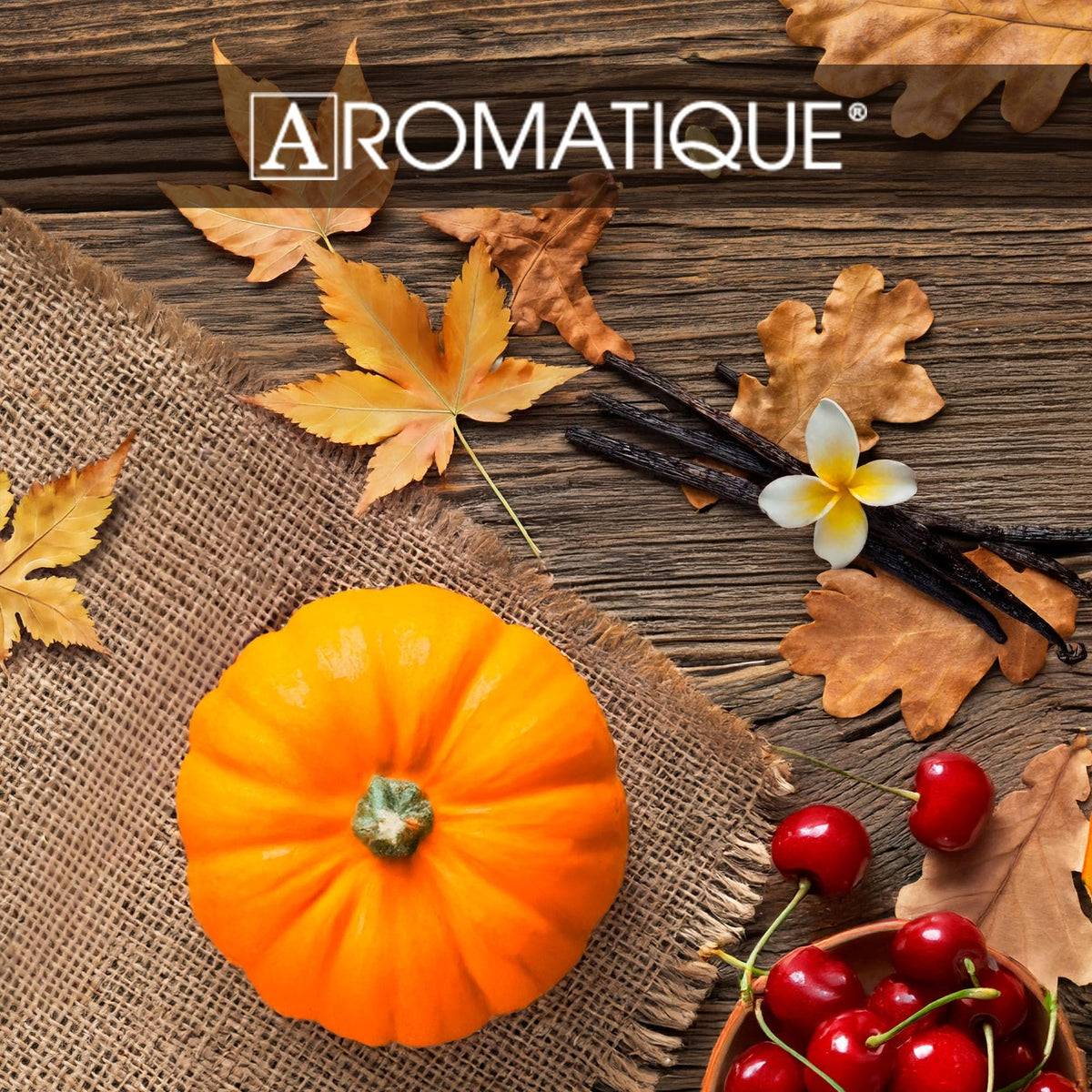 Aromatique Pumpkin Spice Textured Glass Candle with Lid – Fall Scented Candle with Spiced Pumpkin, Vanilla & Maple – Hand Poured, Long Burn – Cruelty-Free, USA Made – 6 oz