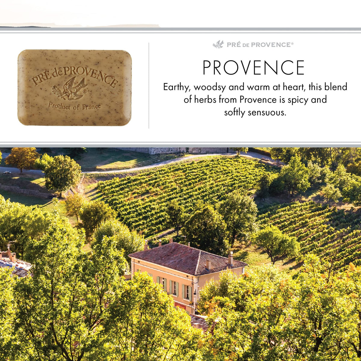 Herbs of Provence Scented Soap — Pré de Provence Quad-Milled French Soap Collection