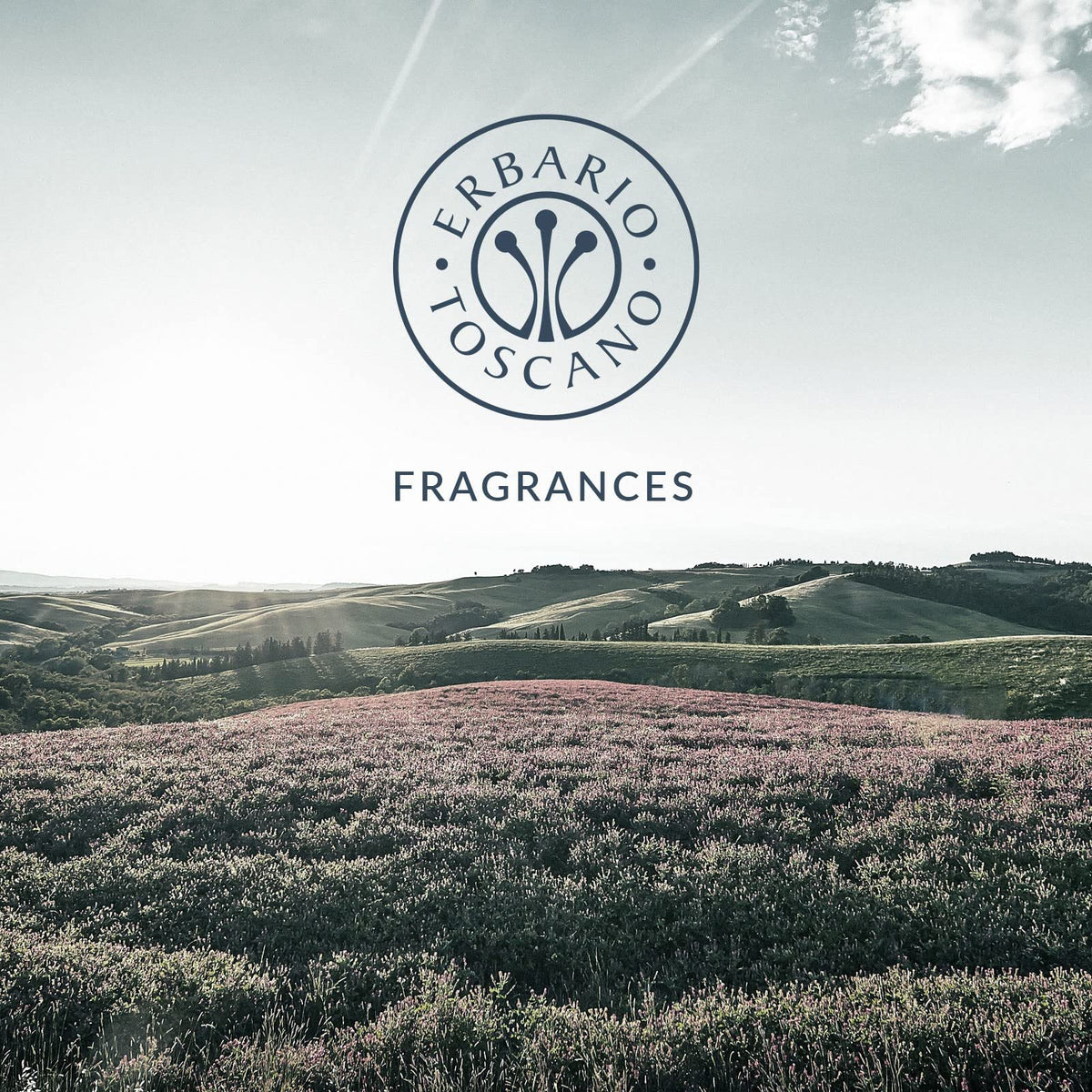 Legno Di Vigna (Vineyard Woods) Reed Diffuser Refill | 500ml