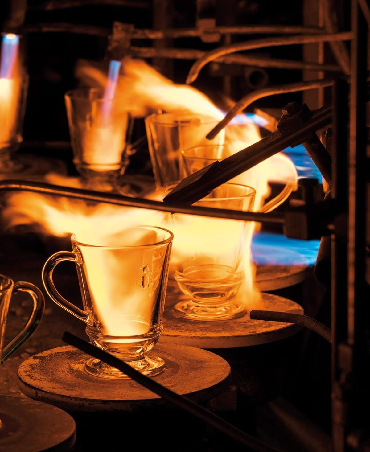 La Rochere Bee Coffee Mug Glasses | Set of 6 (9oz)