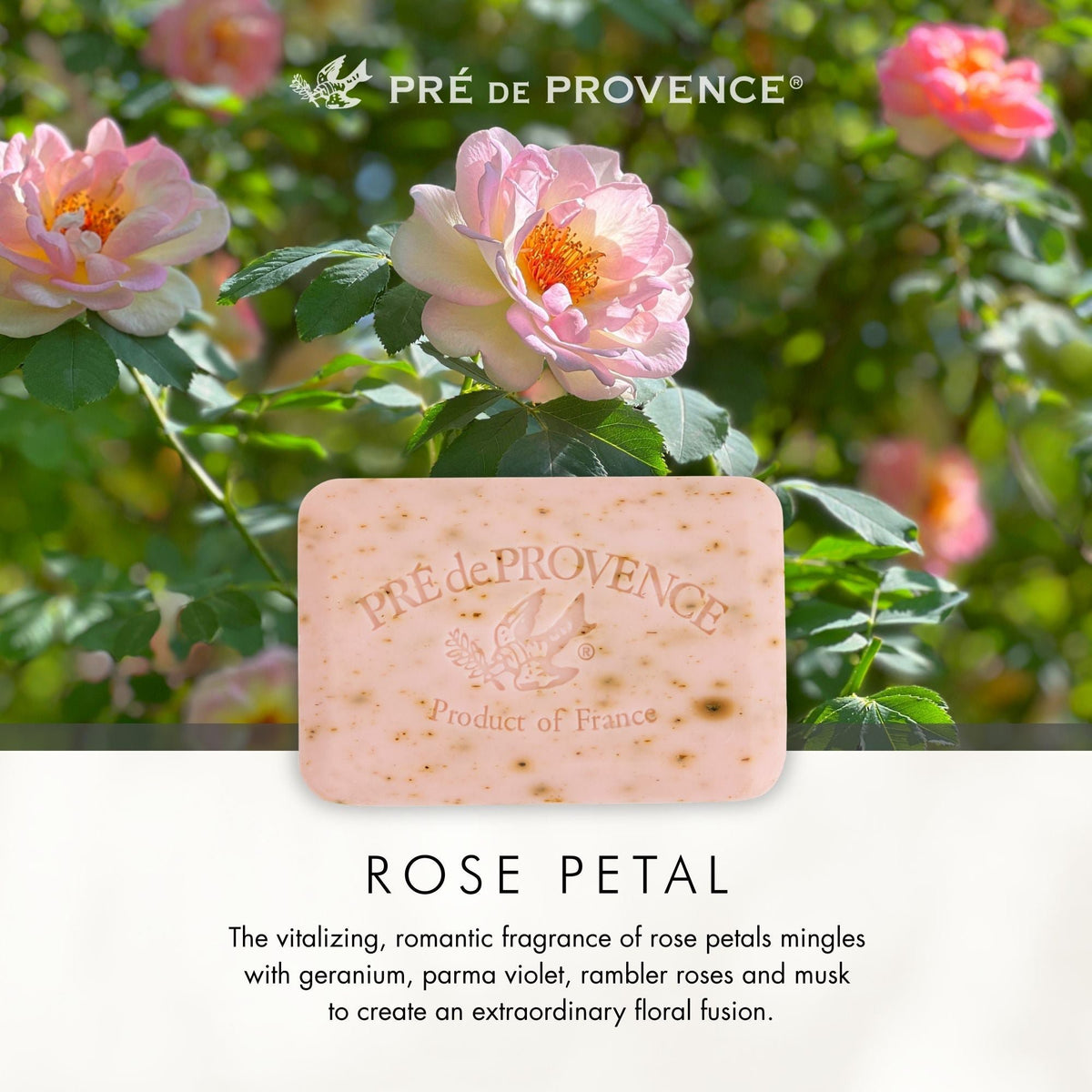 Pre de Provence Rose Petal Soap Bar Quad-Milled Shea Butter