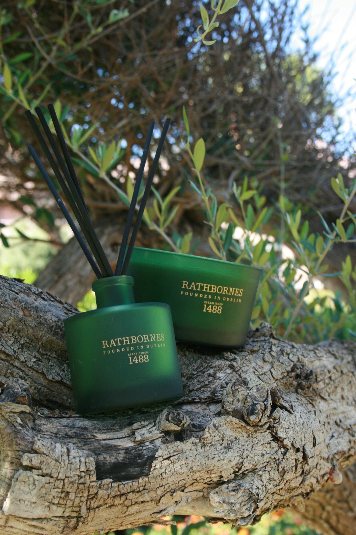 Rathbornes Dublin Retreat Musk, Black Ebony & Amber Scented Candle