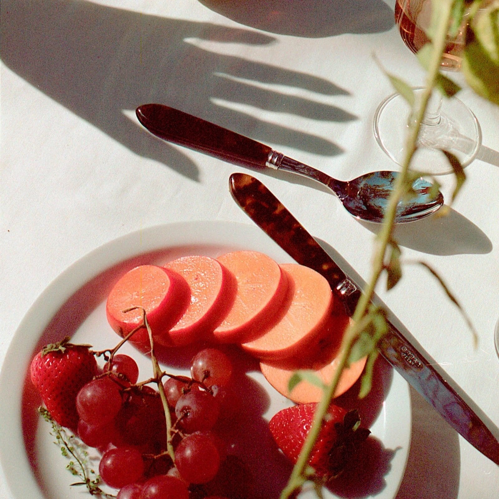 French Flatware Tortue Shiny Tortoise 20 Piece Set