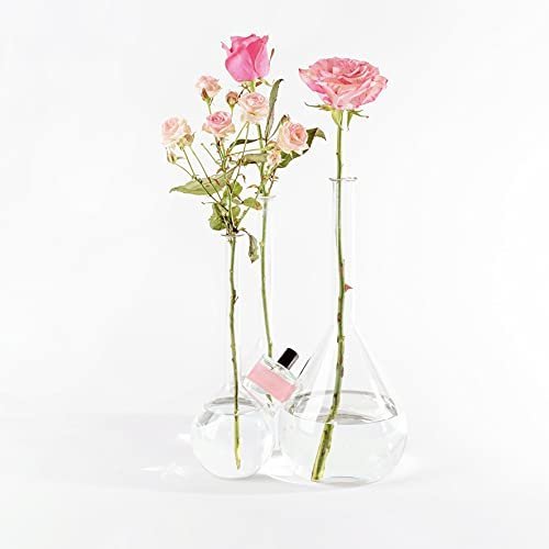 Bon Parfumeur 101 Parisian Bouquet Eau de Parfum | Freesia, Rose & Musk