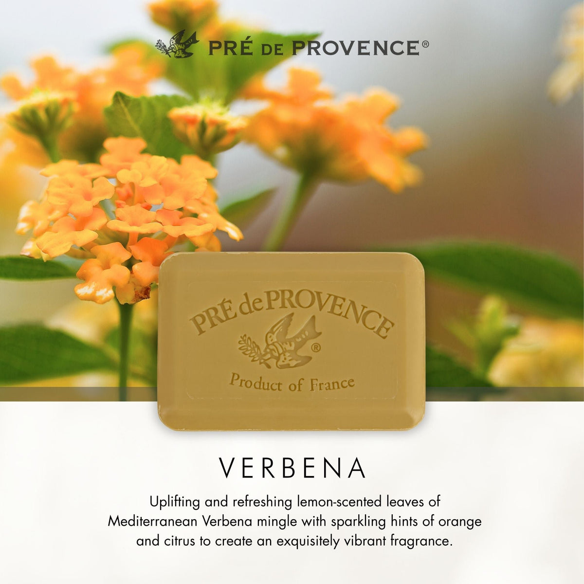 Pre de Provence French Soap Bar Verbena, 250 Gram (Pack of 12)