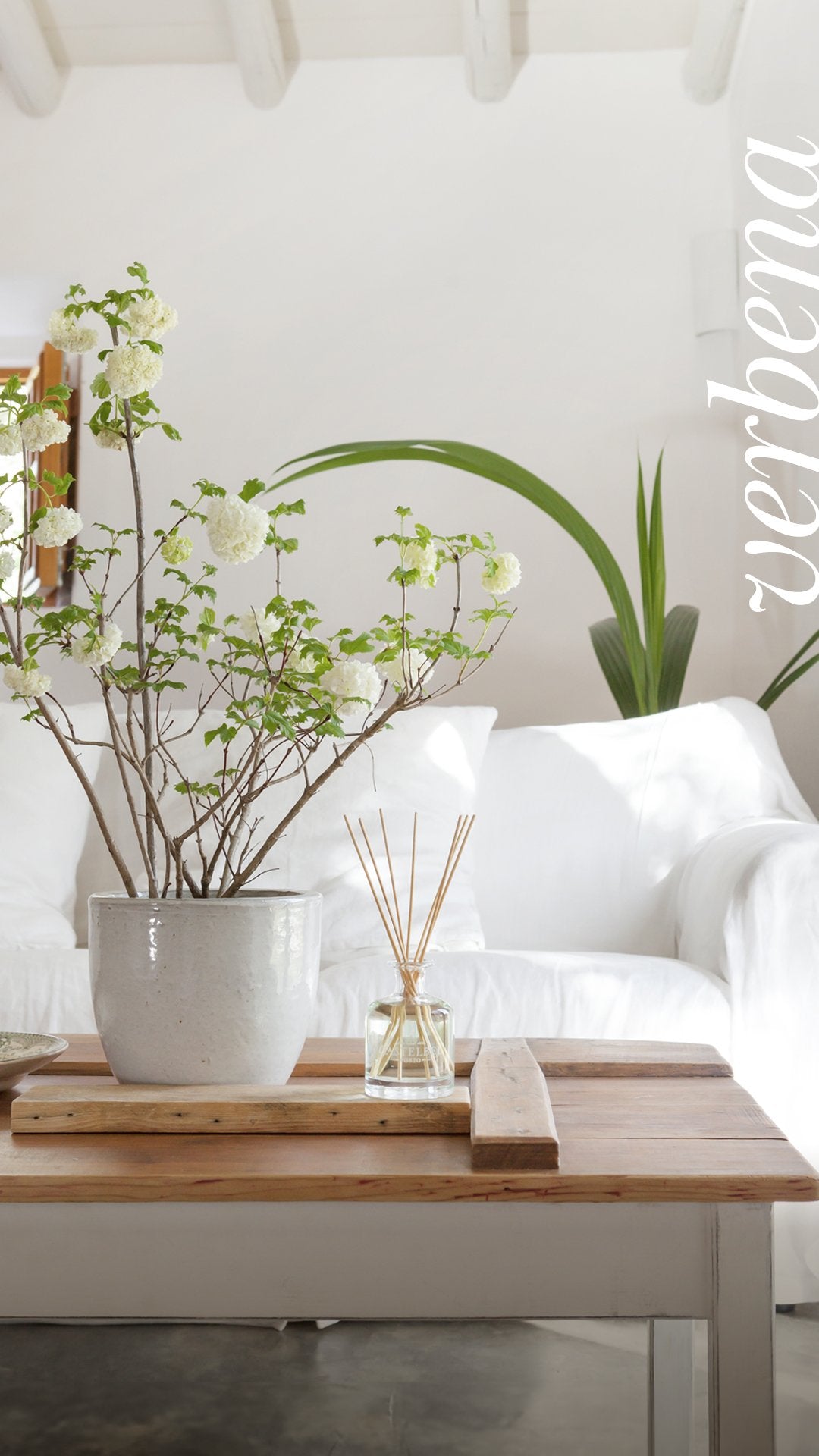 Verbena Home Fragrance Diffuser by Castelbel – Elegant Glass Bottle