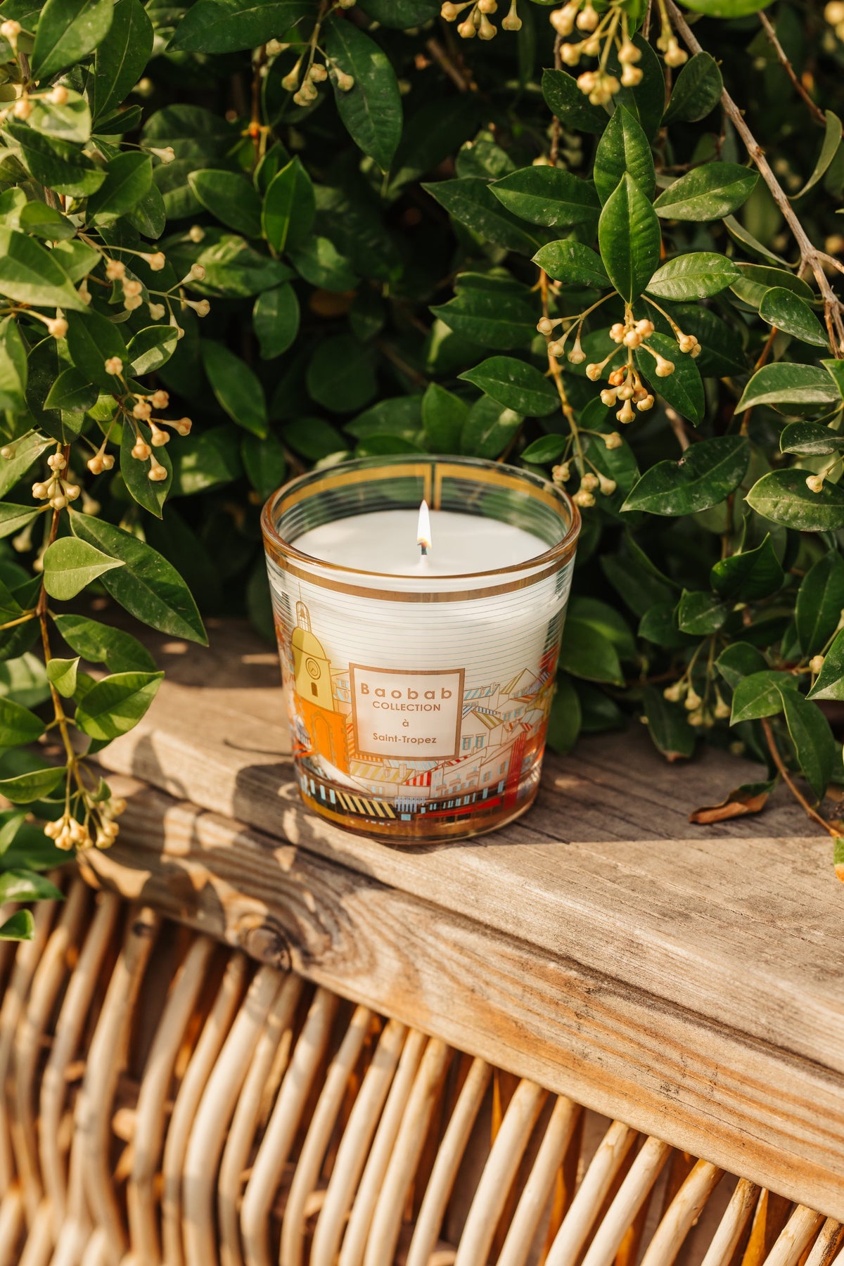 Baobab Collection SAINT-TROPEZ My First Baobab Scented Candle 190G Aromatic Fragrance Luxury Home Decor