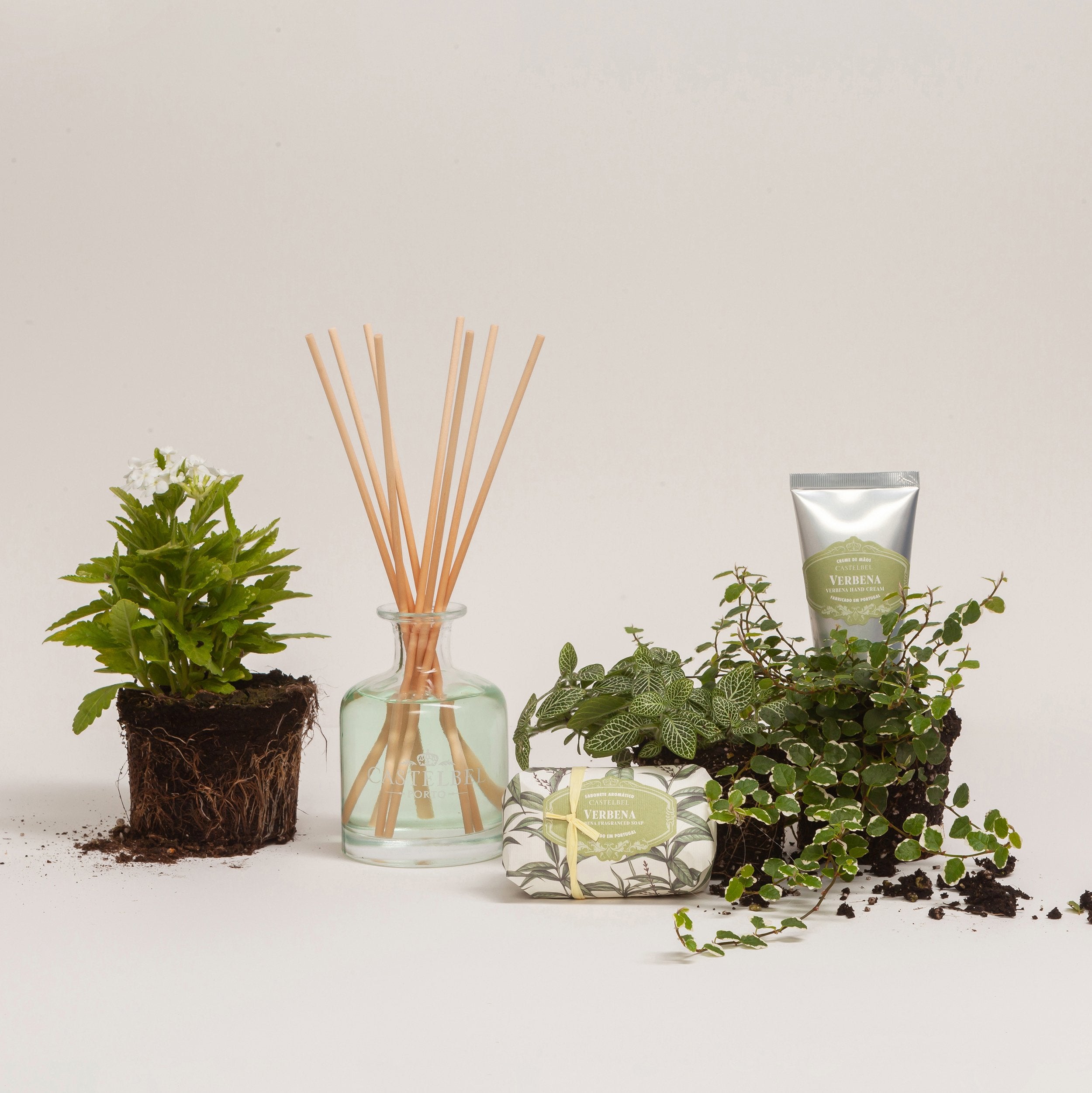 Castelbel Verbena Oil-Based Home Fragrance Refill