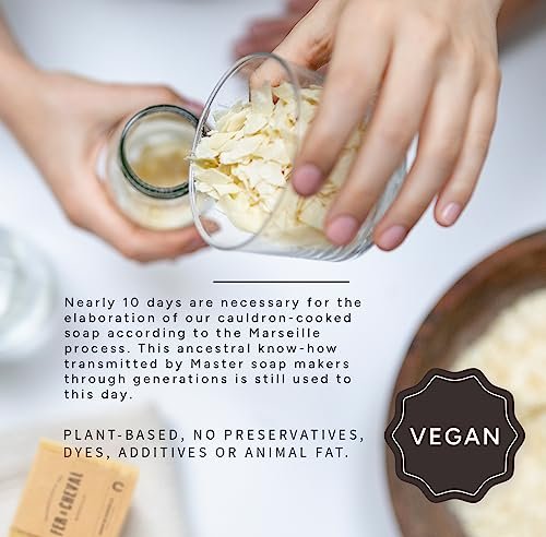 Natural Vegetable Marseille Soap Flakes by Fer à Cheval — Eco Laundry Detergent