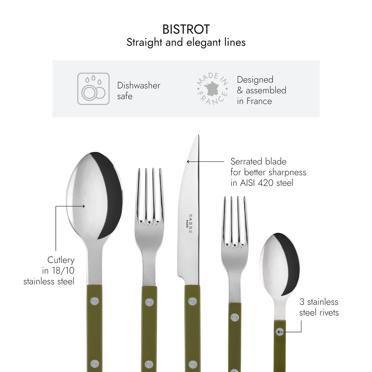 SABRE PARIS - 20-Piece Flatware Set - Bistrot Collection - Knife, Fork, Soup Spoon, Teaspoon & Dessert Fork - Stainless Steel & Nylon - Dishwasher Safe - Green Fern - Brilliant Finish