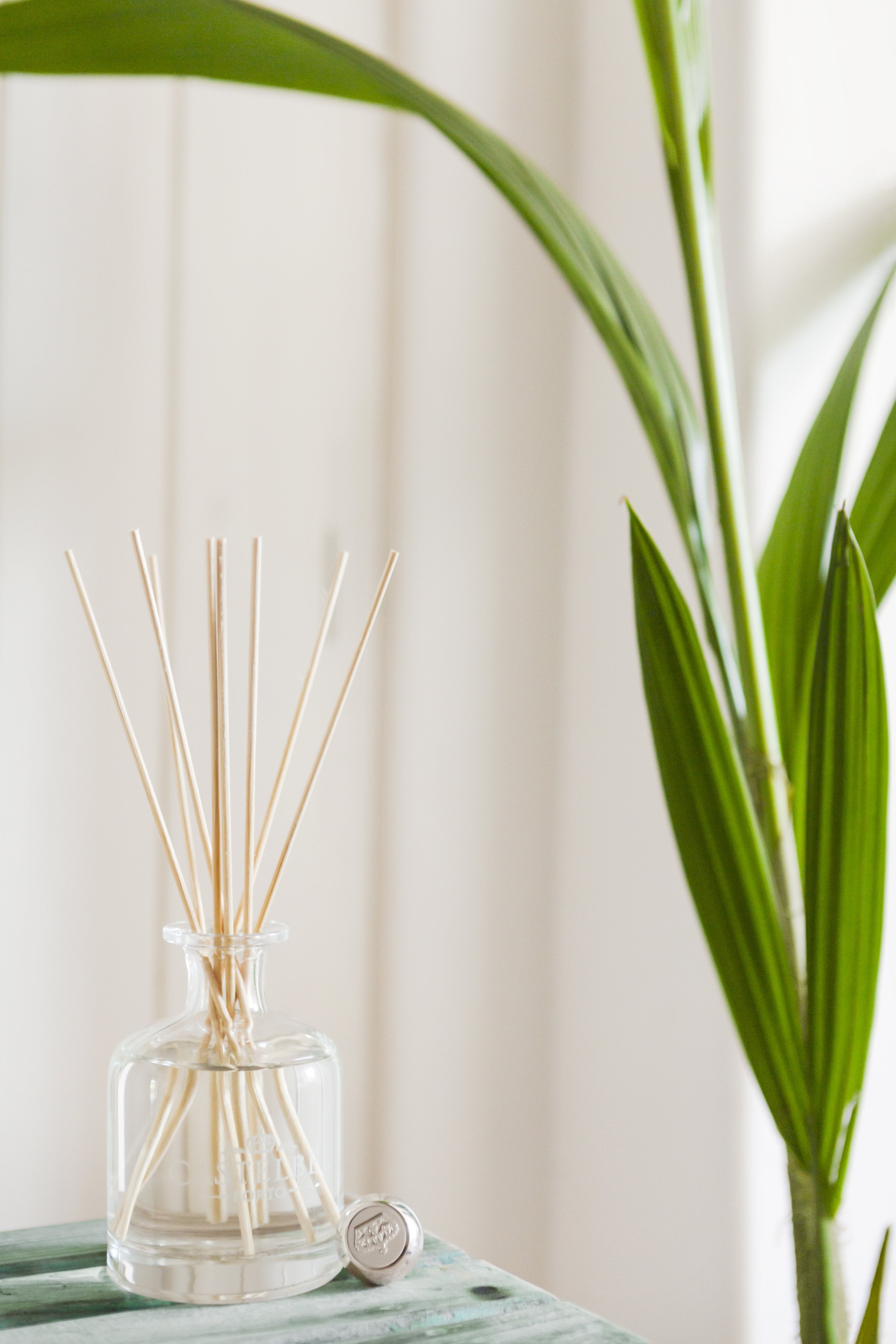 Castelbel White Jasmine Oil-Based Alcohol-Free Reed Diffuser