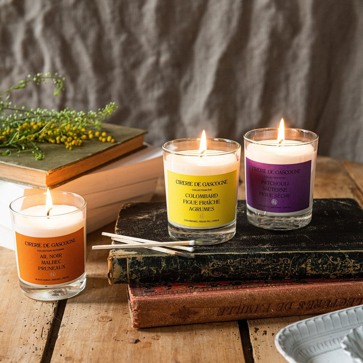 Cirerie de Gascogne Scented Candle, Colombard Fresh-Fig Citrus Blend, Scent Long Lasting Home Fragrance