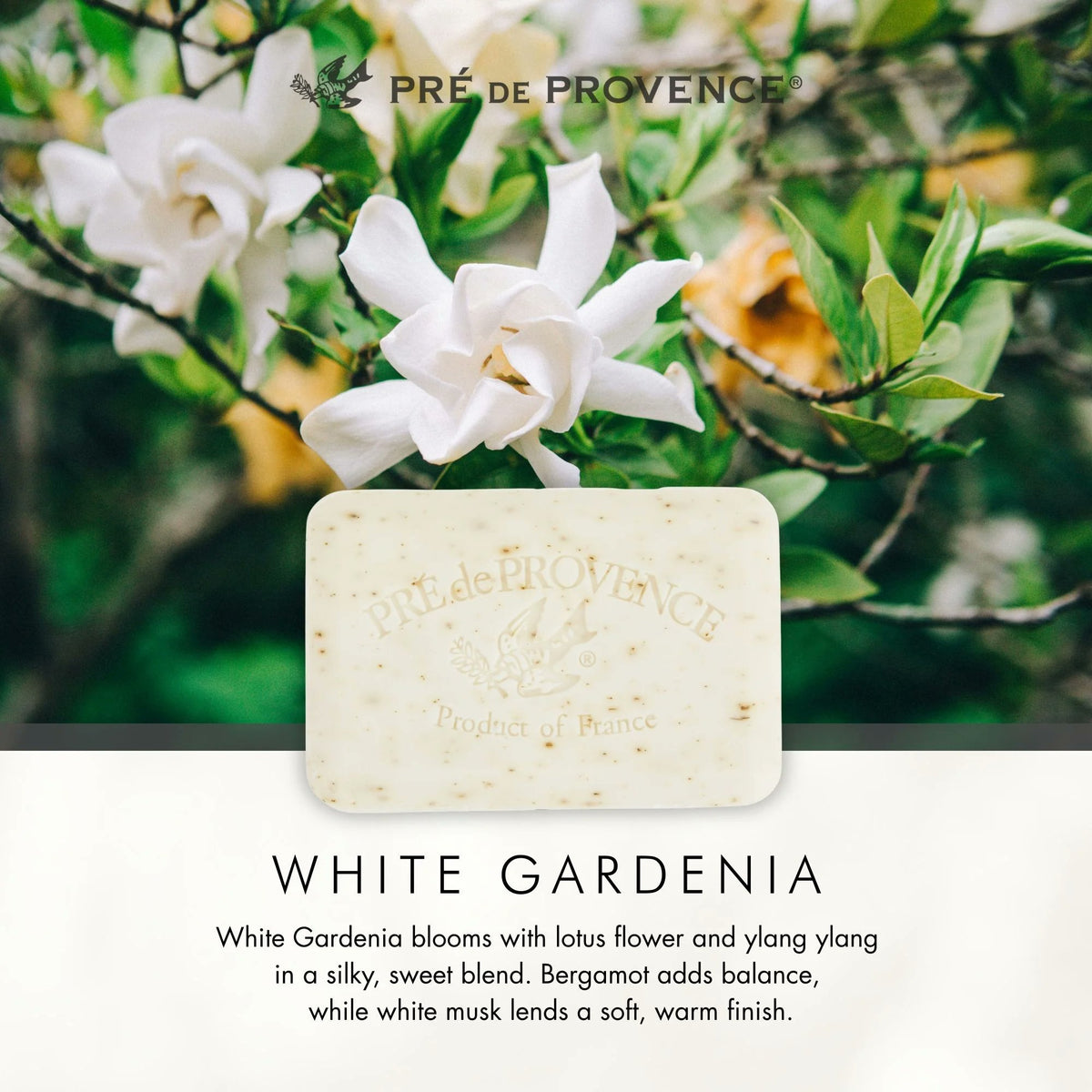 Pre de Provence White Gardenia Soap Bar 250g Pack of 3 Quad-Milled Shea Butter