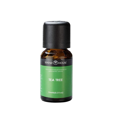 Tea Tree Pure Essential Oil - Home Decors Gifts online | Fragrance, Drinkware, Kitchenware & more - Fina Tavola